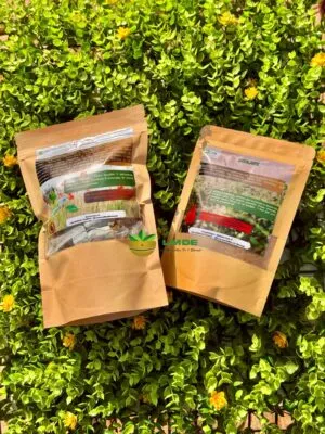 Kit Contre Dystrophie Ovarienne & Endométriose