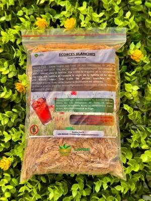 Écorces Blanches