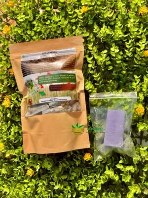 Kit Nettoyage Après Fausse Couche